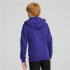 Sweat Décontracté Enfant Puma Essentials+ 2 Col Big Logo Bleu