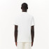 Polo Lacoste Homme Chemise Col Bord-Cotes Blanc