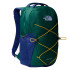 Sac à dos Montagne The North Face de Jester Vert chasseur/Bleu