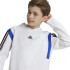 Sweat adidas Enfant Colorblock Hoodie White