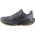 Chaussures Salomon Femme Elixir Tour Wp9 Gris