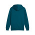 Sweat Puma Ess+ 2 Col Big Logo Hoodie Fl Homme