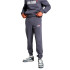 Pantalon Puma Ess+ 2 Col Logo Pants Fl Cl Homme