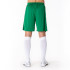 Joma Homme Court Nobel Vert