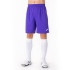 Joma Homme Short Nobel Purple
