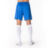 Joma Homme Court Treviso Royal