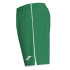 Joma Homme Short Liga Green-White