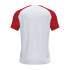 Polo Homme Manches courtes Academy IV Blanc Rouge