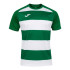 T-shirt Homme Manches courtes Prorugby II Vert Blanc