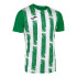 T-shirt Football Joma HommeEnfant from Short Sleeve Inter III / Green White