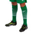 Chaussettes Joma Homme Premier II Vert Blanc