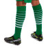 Chaussettes Joma Homme Premier II Vert Blanc