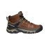 Botas de Montagne Keen Targhee III Mid Waterproof Châtaigne/Mulch Homme