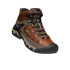 Botas de Montagne Keen Targhee III Mid Waterproof Châtaigne/Mulch Homme