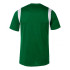 T-shirt Joma Homme Vert Dynamo
