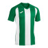 T-shirt Joma HommeEnfant Manches courtes Pisa II / Vert Blanc
