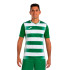 T-shirt Joma Manches courtes Europe V Vert Blanc