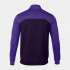 Sweat Homme Gagnant II Pourpre