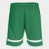 pantalon Football Joma homme de Tokyo Vert Blanc Vert Blanc Vert Blanc