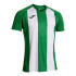 T-shirt Football Joma homme de Inter Iv Vert Blanc Vert Vert Vert Blanc Blanc