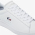 Chaussures Lacoste Set Carnaby 224 7 Homme