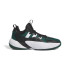 Chaussures Basket-ball adidas de Trae Unlimited Dark Green