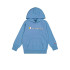 Sweat Champion Homme Sweat à capuche Cbu
