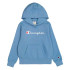 Sweat Champion Homme Sweat à capuche bleu