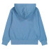 Sweat Champion Homme Sweat à capuche bleu