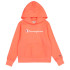 Sweat Champion Homme Sweat à capuche Peach