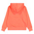 Sweat Champion Homme Sweat à capuche Peach