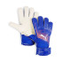 Gants de PorteroFootball de Puma Ultra Play Rc