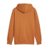 Sweat Décontracté Puma Essentials Big Logo Hoodie Fl (S) Homme