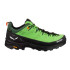 Chaussures Montagne Homme de Salewa Alp Trainer 2 Gtx M Grenouille pâle/Noir