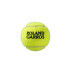 Balles Tennis Wilson Lot de 3 de Roland Garros Tous Court
