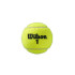 Balles Tennis Wilson Lot de 3 de Roland Garros Tous Court