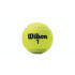 Balles Tennis Wilson du Championnat XD