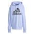 Sweat adidas French Terry Homme Essentials - Sweat à capuche Big Logo - Bleu