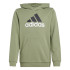 Sweat adidas Enfant Essentials 2 Coloured Big Logo Cotton Hoodie Vert