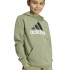 Sweat adidas Enfant Essentials 2 Coloured Big Logo Cotton Hoodie Vert