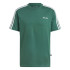 T-shirt adidas Homme Galerie graphique Vert foncé
