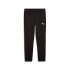 Pantalon Homme Puma Evostripe Noir