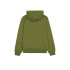 Sweat Champion Homme Sweat à capuche Gnum