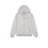 Veste Champion Homme Full Zip Sweatshirt Grey