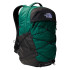 Sac à dos Montagne The North Face de Borealis Vert/Noir