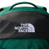 Sac à dos Montagne The North Face de Borealis Vert/Noir