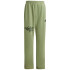 Survêtement adidas Enfant Marque Love Little Green