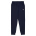 Pantalon Champion Homme Pantalon à bords-côtes bleu