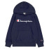 Sweat Champion Homme Sweat à capuche bleu marine
