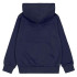 Sweat Champion Homme Sweat à capuche bleu marine